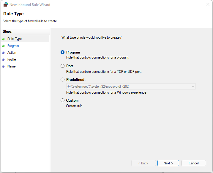 Choosing Program as the Rule Type