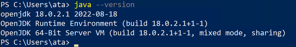 How To Install And Use The Scoop Windows Package Manager Techsyncer
