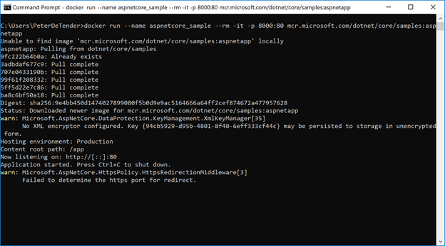Downloading a container instance from Microsoft