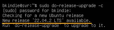 Checking for available new release