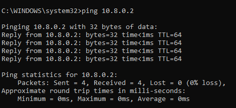 pinging to your VPN server
