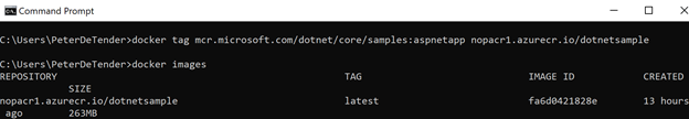 Verifying Docker tag