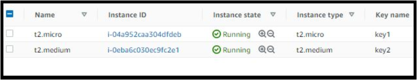 Verifying the two EC2 instances that got created using Terraform