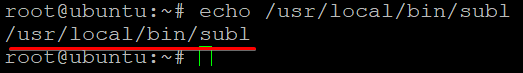 Checking the /usr/local/bin/subl symlink file exists