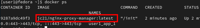 Listing running Docker containers