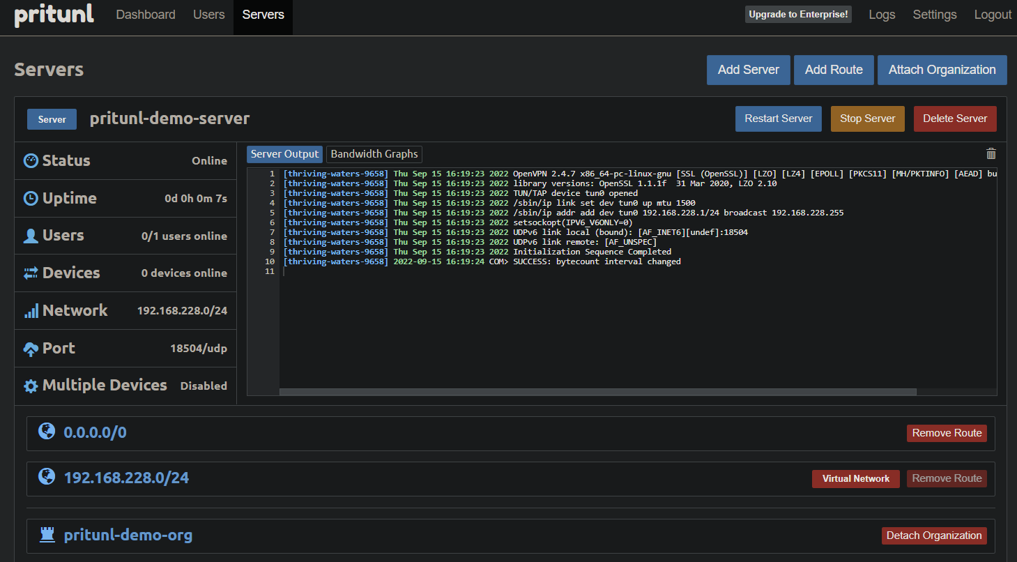 Verifying the VPN server is starting