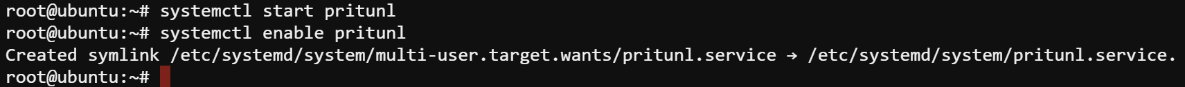 Starting and enabling the Pritunl service to run on bootup