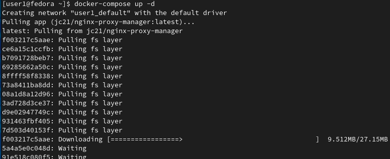 Running Docker Compose to set up NGINX Proxy Manager container