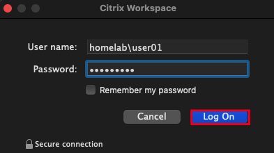 Enter credentials and logon to Citrix URL