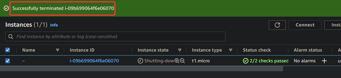 Verifying successful instance termination