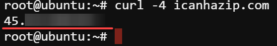 Finding the server's public IP address