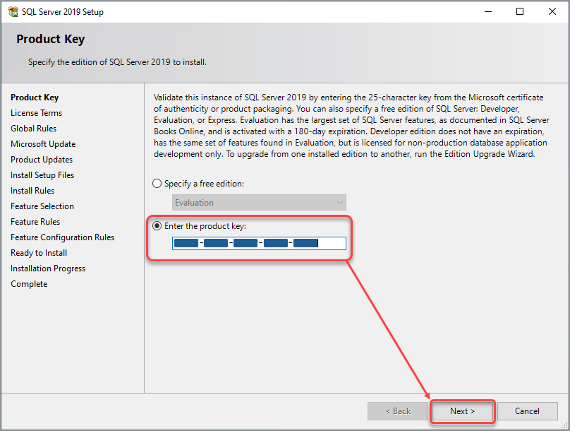 Enter the Microsoft SQL Server Standard Edition 2019 product key