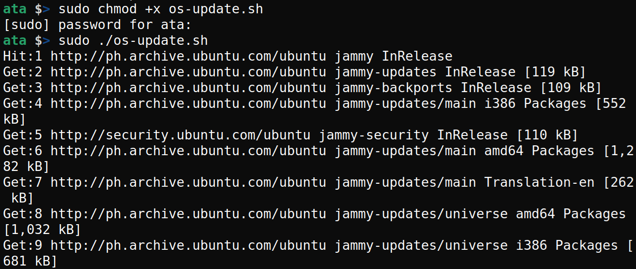 Updating the Ubuntu system