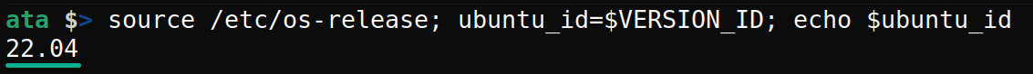 Verifying the system’s current version