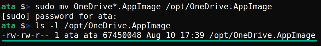 Moving the OneDrive AppImage to the /opt directory