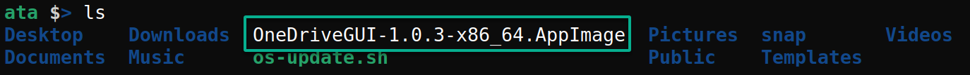 Confirming the downloaded AppImage