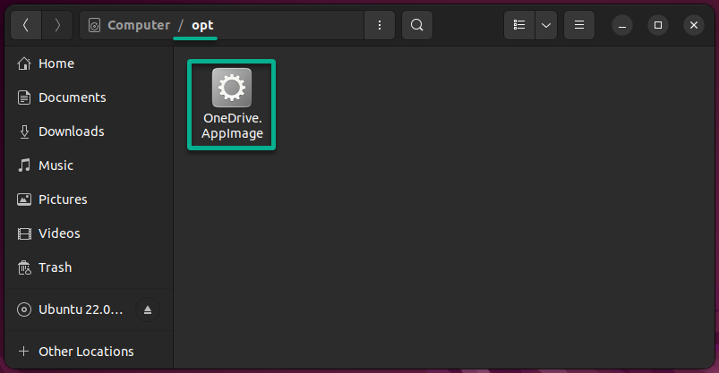Verifying the OneDriveGUI