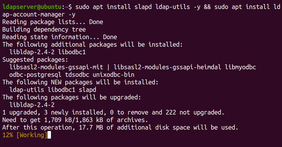Installing the OpenLDAP server and LAM