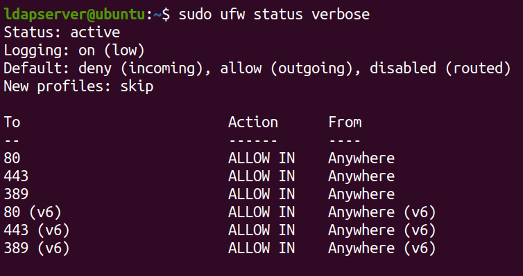 Checking the UFW status