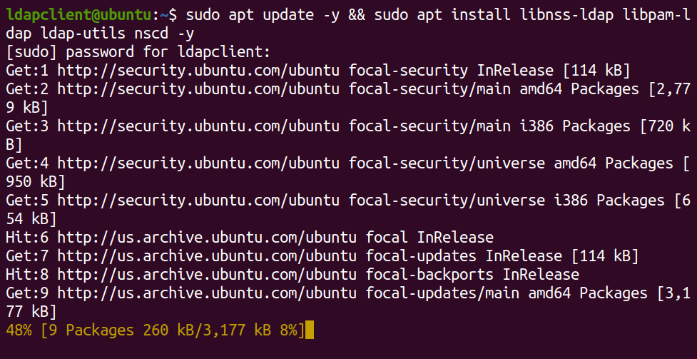Updating the package lists and installing the necessary OpenLDAP client packages