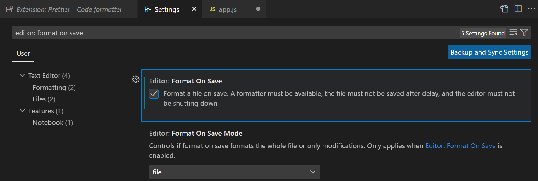 Editor: Format On Save checked