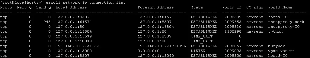 Checking active network connections in ESXi by using ESXCLI