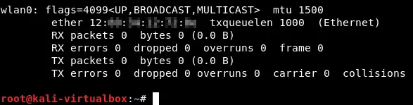 Checking network configuration of Kali Linux on VirtualBox