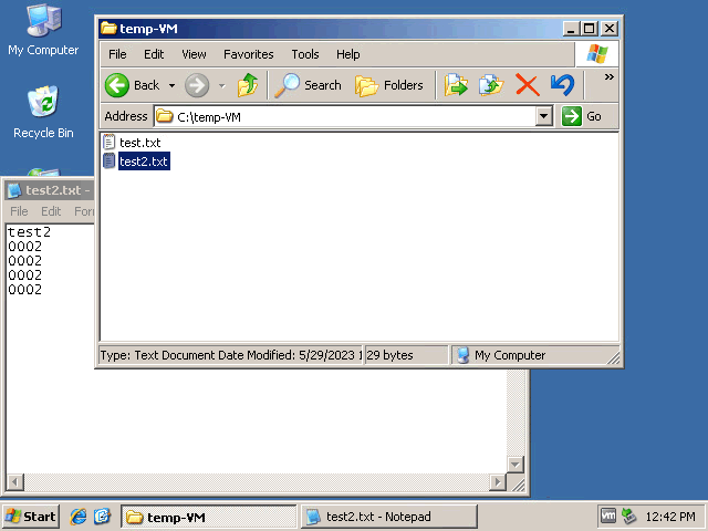 A file has been copied to a VMware VM