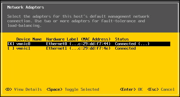 The network adapters available for an ESXi host
