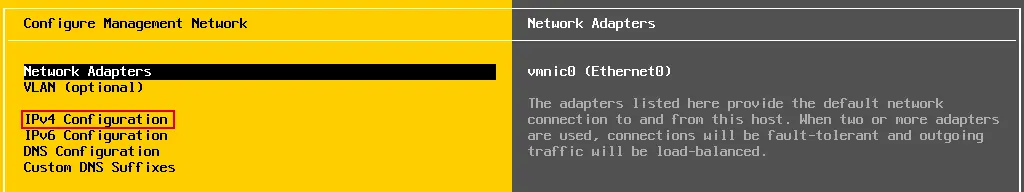 IPv4 Configuration of the network adapter used by an ESXi Server