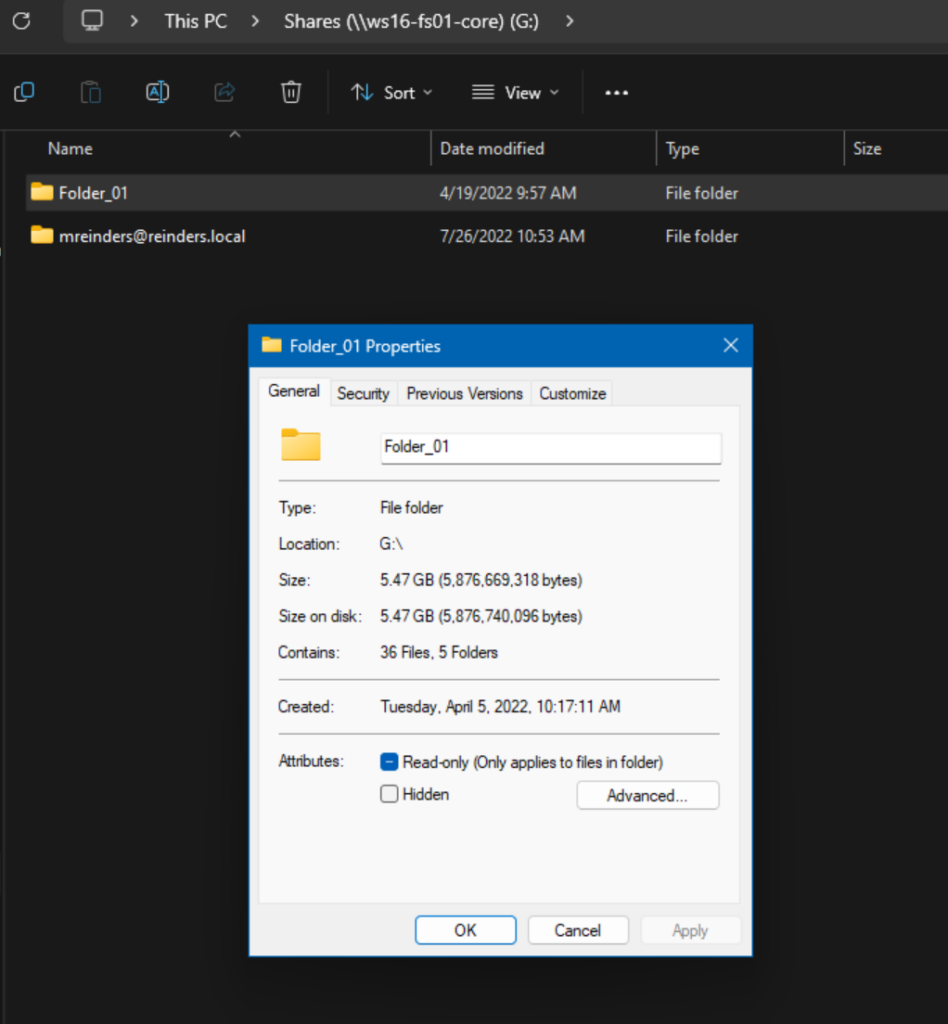 Properties of a file share in my lab