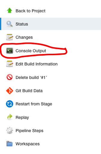 Console Output