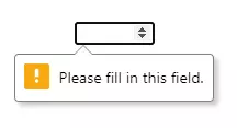 input required validation message