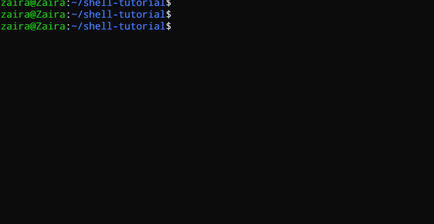 Providing arguments to the bash script