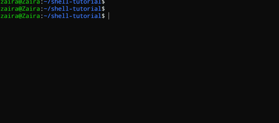Running a bash script